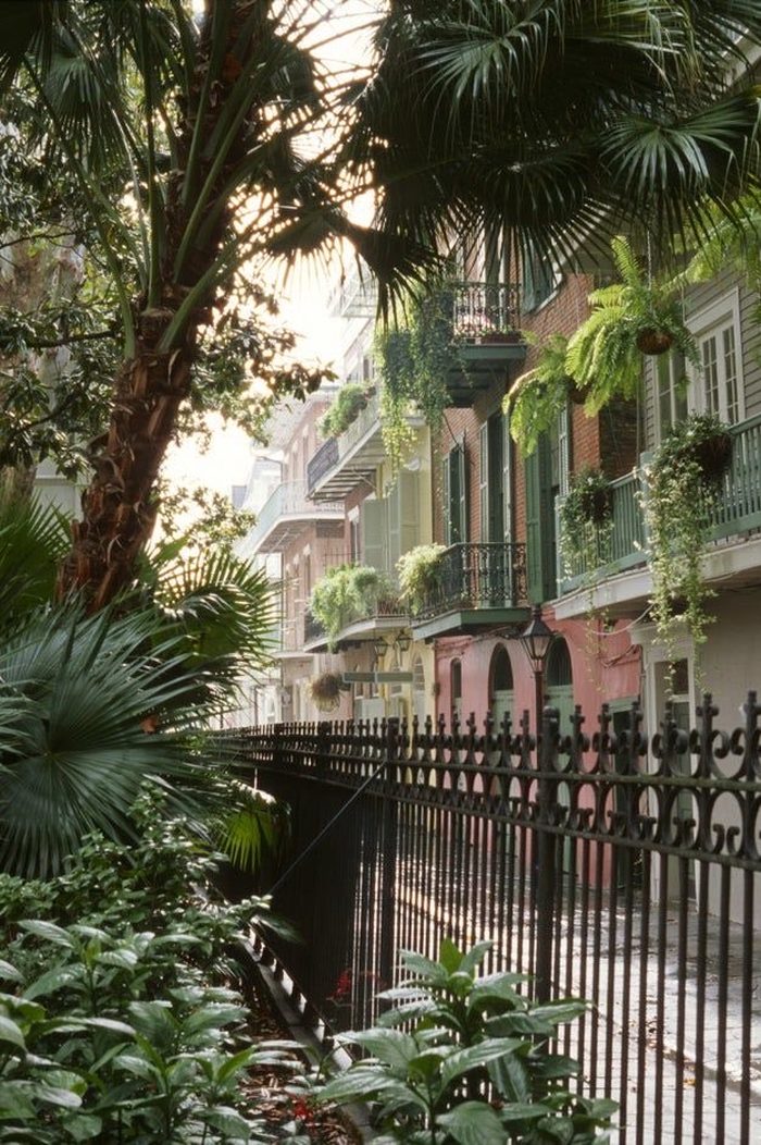 A quiet gated courtyard street in the French Quarter, New Orleans, lined with palms and ironwork balconies