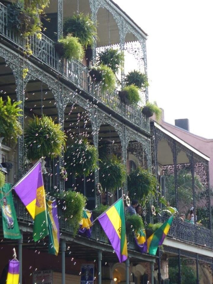 French Quarter balcony decorated with Mardi Gras flags and hanging ferns